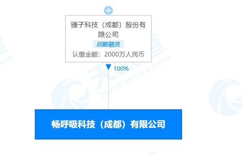 錘子科技關(guān)聯(lián)公司及其法定代表人溫洪喜被限制消費(fèi) 計(jì)算機(jī)軟件技術(shù)開發(fā)的警示與反思
