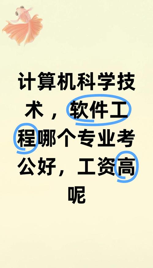 計(jì)算機(jī)軟件技術(shù)開發(fā) 在科學(xué)基石上的工程實(shí)踐